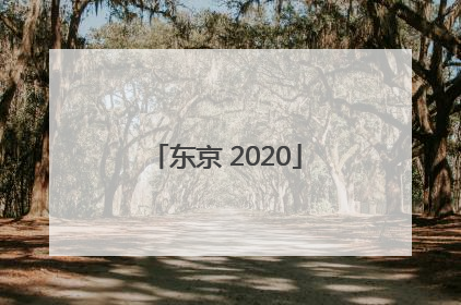 「东京 2020」东京2020运动会