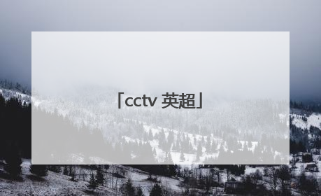 「cctv 英超」cctv英超版权