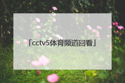 「cctv5体育频道回看」CCTV5-体育频道