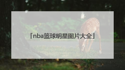 「nba篮球明星图片大全」NBA篮球明星图片合集